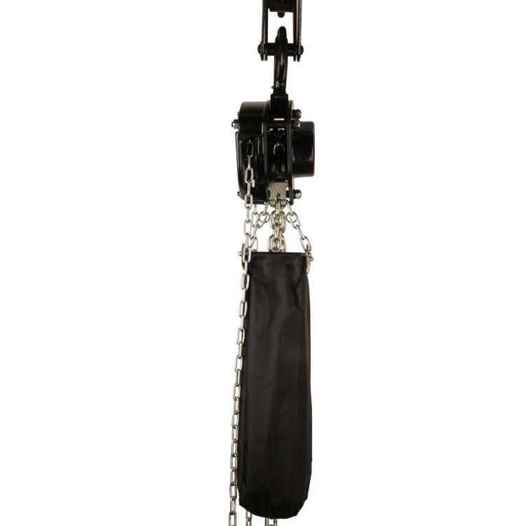Portable And Safety Stage Chain Hoist best